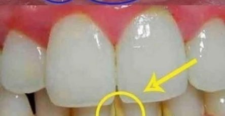 641553193 1998533001014510 7041248737009586876 n