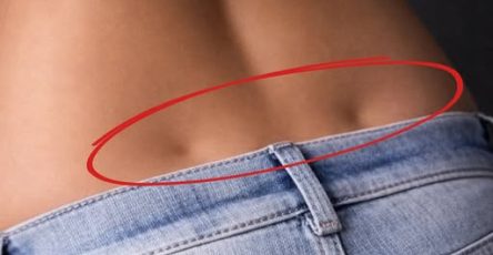 648852540 1444197697752652 2043351328860147226 n