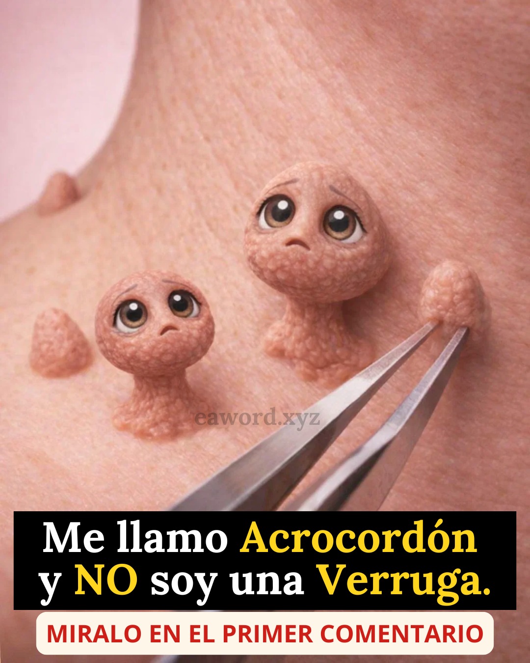 653769630 1491865275842343 3897677392549803533 n