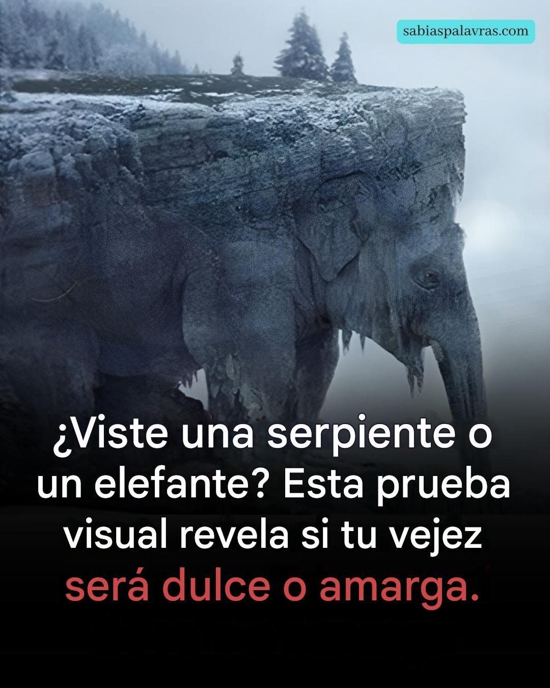 659146097 1504018004636122 191001857764490565 n