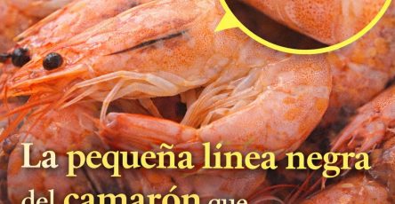 660508789 1484660373334112 2232295454234271813 n