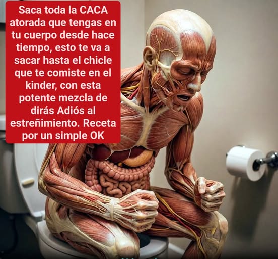 666989857 4292036761035105 3790703486563217396 n