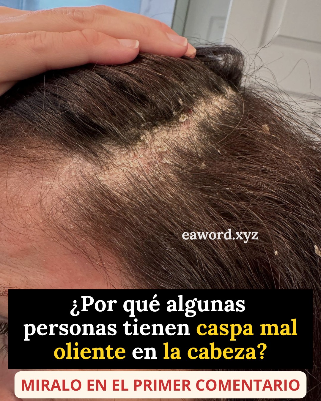 668102861 950720007888942 3146909512084399537 n